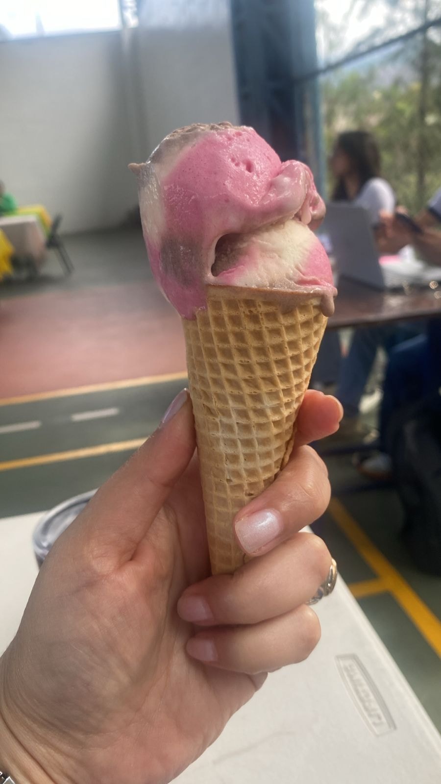 Degustación de helados Oso Polar